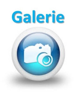 galery